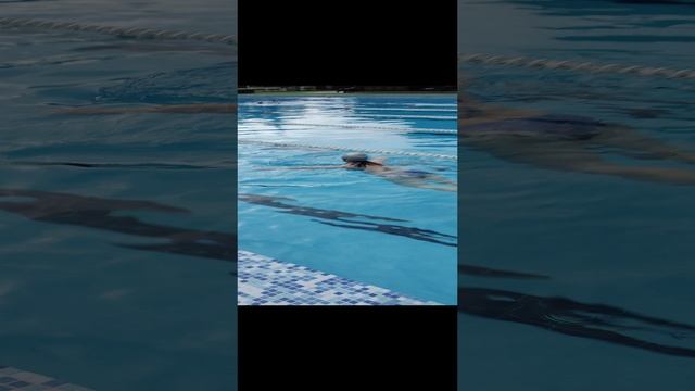 Сочи декабрь 2023