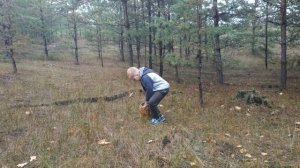 Яцковка Украина!Александровна vs Мишка Журавлев!Феномен секретного леса!