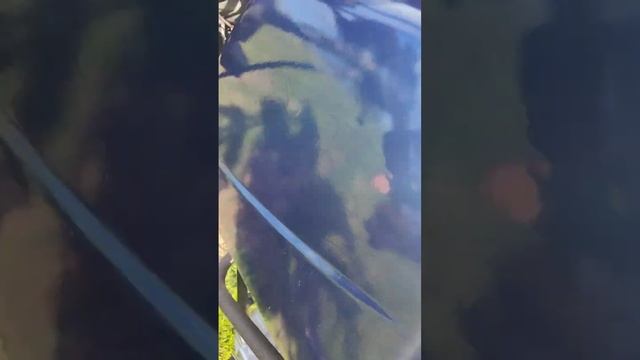 2 августа 2024 г. смотреть онлайн