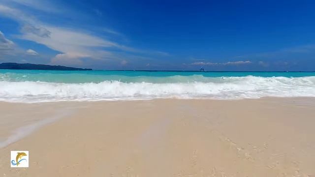 Dream to join us (TV ad) смотреть онлайн