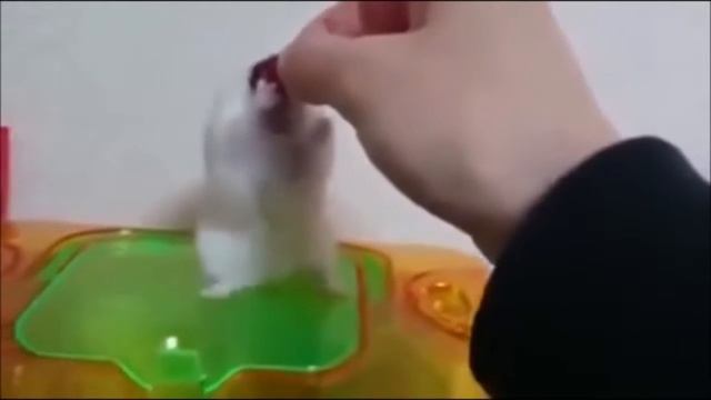 ТЕСТ НА ПСИХИКУ, ПОПРОБУЙ НЕ ЗАСМЕЯТЬСЯ, а ты все равно засмеешься!!! смотреть онлайн