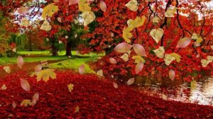 Музыкальный-клип. Если устав Любить. Михаил Боярский - Листья жгут