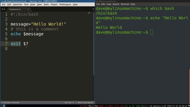 Bash Scripting 4 -- How Bash Scripts Work