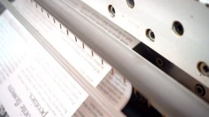 DEMO упаковка для цветов 2022