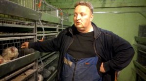 Все о с/х птице ч.12 "породы и кроссы с чего начать"