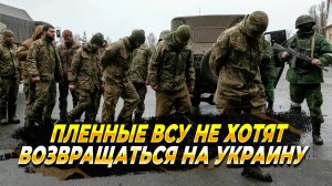 Пленные ВСУ не хотят возвращаться домой - Новости