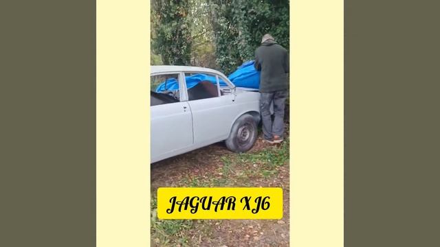 JAGUAR XJ6/как мы перегоняли Ягуар XJ6 смотреть онлайн