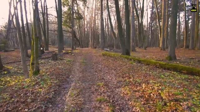 ЗАБРОШЕНЫЙ ПИОНЕРЛАГЕРЬ ЮНОСТЬ-ПОДОЛЬСК