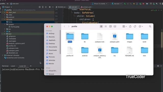 How to use custom font in Flutter | Android Studio | Flutter Tutorial 11