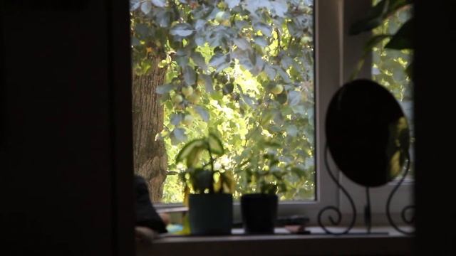 Харбин - Сегодня дома смотреть онлайн