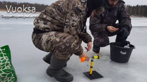 Ставим зимние жерлицы на Вуоксе. Ловим щуку на новые жерлицы.