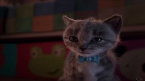 CARTOON LITTLE KITTEN ADVENTURE -Little Kitten Adventures-Play Fun Cute Kitten Pet Care Learning #1