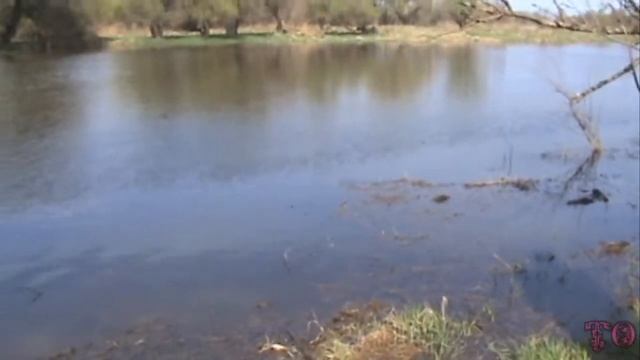 ВОТ ЭТО УЛОВ, РЫБАЛКА В АСТРАХАНИ, ВОБЛА 2018 смотреть онлайн