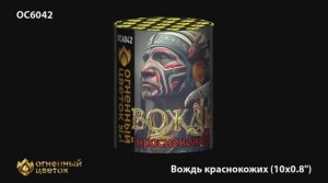 ОС6042 Вождь краснокожих (0,8"х 10)