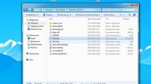 Themida Protector 3.0.4.0
