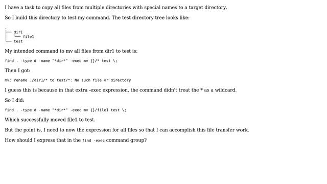 Unix & Linux: How to express all files/directories at the extra -exec option of `find` command? смотреть онлайн