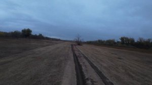Осень. Природа. Лошади и р. Волга. Красота Волгоградской области.