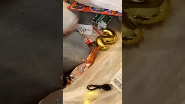 Dumpster Dive Haul/Unboxing смотреть онлайн