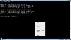 Linux Commands Basics Session5| Commands: cp rm mv file cmp| By Ramesh Gundlapalli