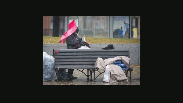 Adobe Spark Video смотреть онлайн