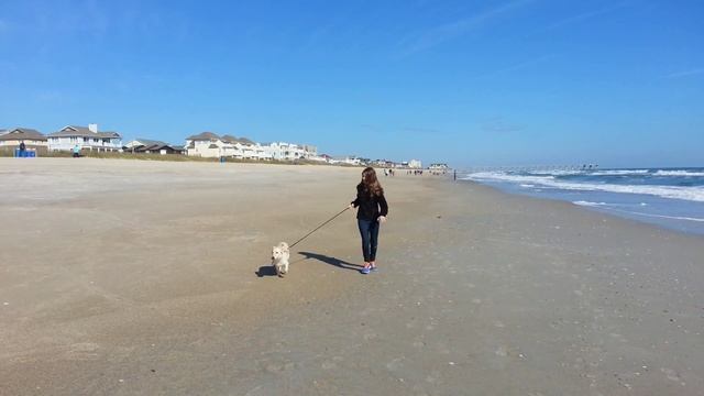 Mac first time at the beach! смотреть онлайн
