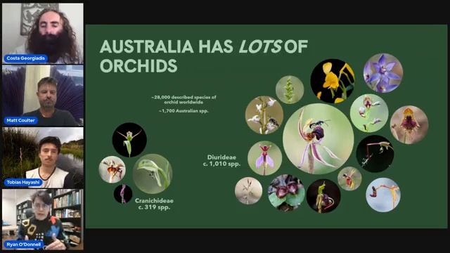 Botanic Gardens Day 2022 Webinar Week 2, 12 May 2022: Rare plants, large and small смотреть онлайн