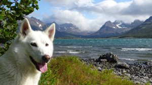 Родник с живой водой.