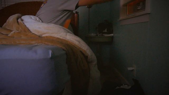 Opening Window смотреть онлайн