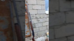 МР 156.новое ружьё без доработок