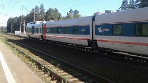 Поезд  Стриж