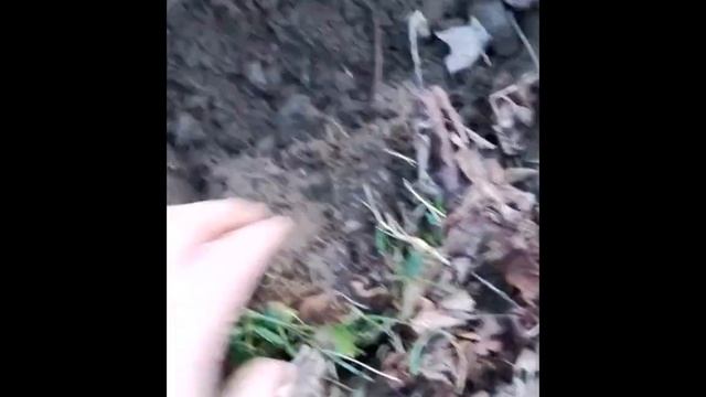 I Found Mr Lincoln!!!!! смотреть онлайн