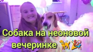 Собака на неоновой вечеринке,  на 10 летие Вики 🎉 Веста тусит вместе с детьми🦮💕🎉