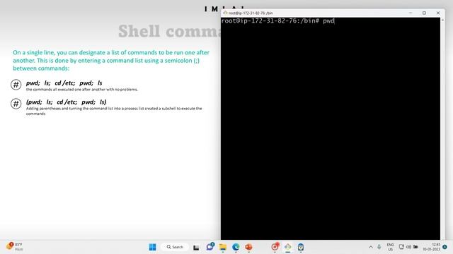 13 Exploring Shell types смотреть онлайн