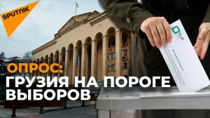 Парламентские выборы 2024: голос народа и его ожидания