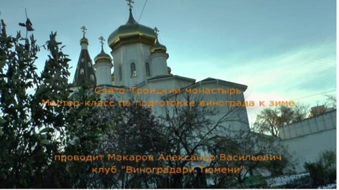 Подготовка винограда к зиме Свято-Троицкий монастырь_HD
