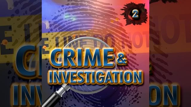 Put In the Hot Seat смотреть онлайн