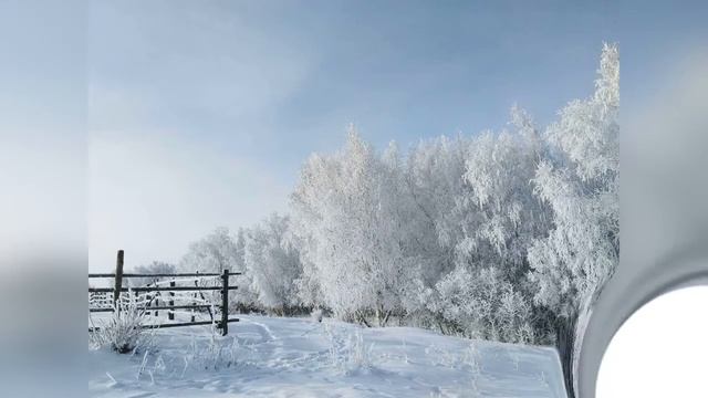 ФОТОВЫСТАВКА Алексеевой Р.М. , члена МО ВОС «Остановись, мгновенье…».