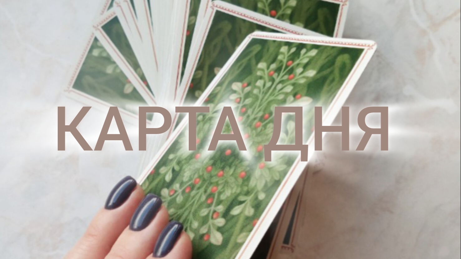 Карта дня на 24 октября