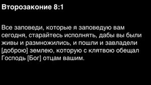 День 48. Библия за год. С митрополитом Иларионом.