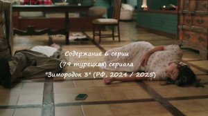 Содержание 6 серии (79 турецкая) третьего сезона сериала "Зимородок" (РФ, 2024 / 2025)