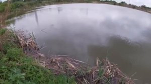 Ловим карася на поплавок!