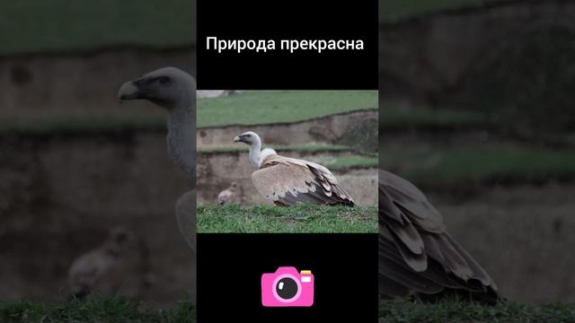 Красота природы.