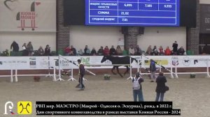 Русский верховой Маэстро В Jumper Class Дней спортивного коннозаводства 2024