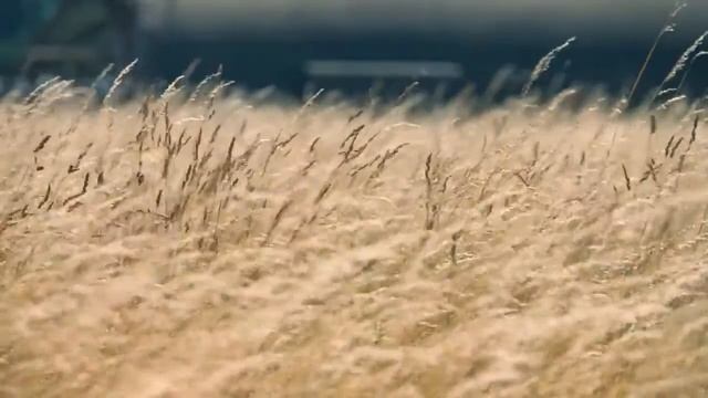 IRWIN Clamp Ramp смотреть онлайн