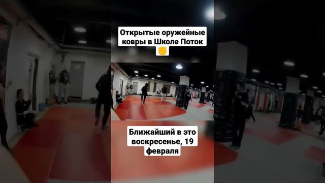 Ножи, мачете, палки, шесты, копья, мечи. Открытые оружейные ковры в Потоке #shorts смотреть онлайн