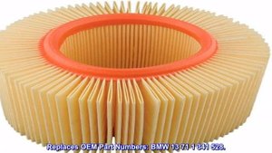Great product - Hiflofiltro HFA7910 Premium OE Replacement Air Filter, Black