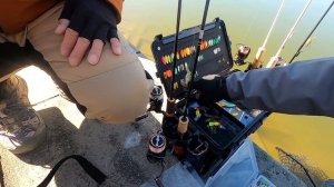 Отборочный турнир Trout King - TIMON Сup JAPAN 2023