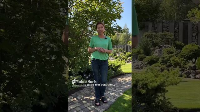 Стимуляторы для роста растений, использовать или не?