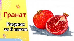 Как нарисовать Гранат маркерами | Пошаговый урок рисования для начинающих