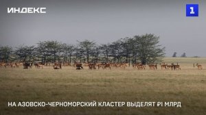 На Азовско-Черноморский кластер выделят ₽1 млрд